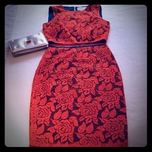 Nicole Miller Artelier Orange Lace Top & Skirt